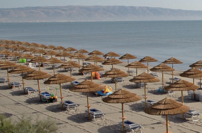 African Beach Ippocampo