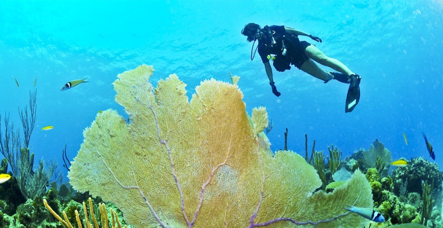 Costa Smeralda Diving 
